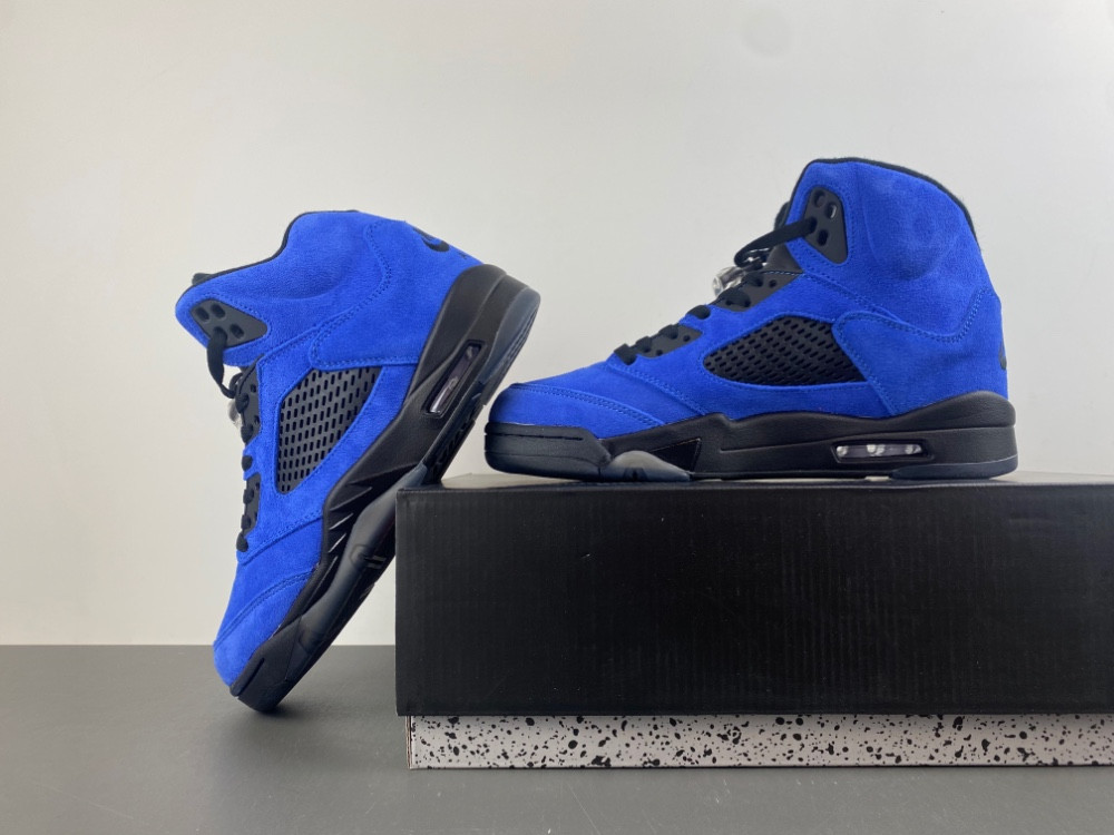 Air Jordan 5 “Nightwing” Concept DD0587 - 400