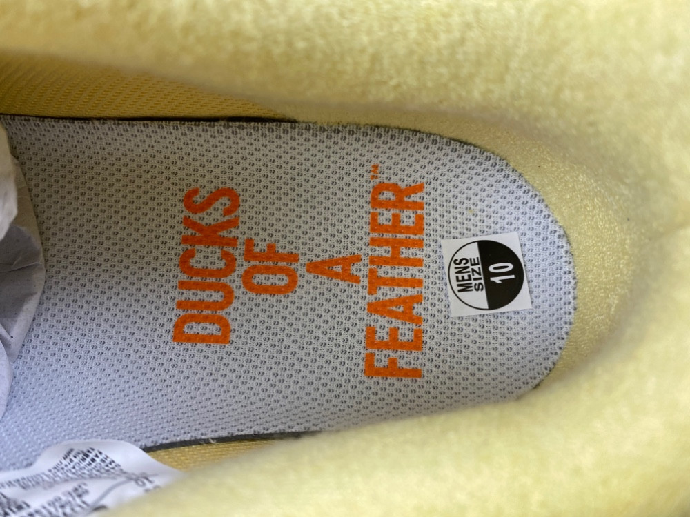 Nike Air Force 1 Low Ducks of a Feather University of Oregon Duck or Egg IU7612-700