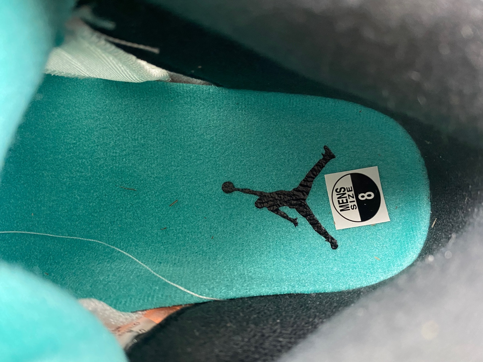 Jordan 5 Retro Grape (2006) Men