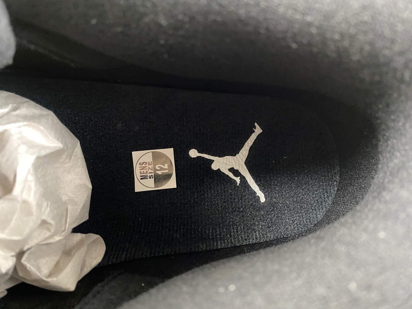 Air Jordan 3 "Black Cat" 2025 CT8532-001