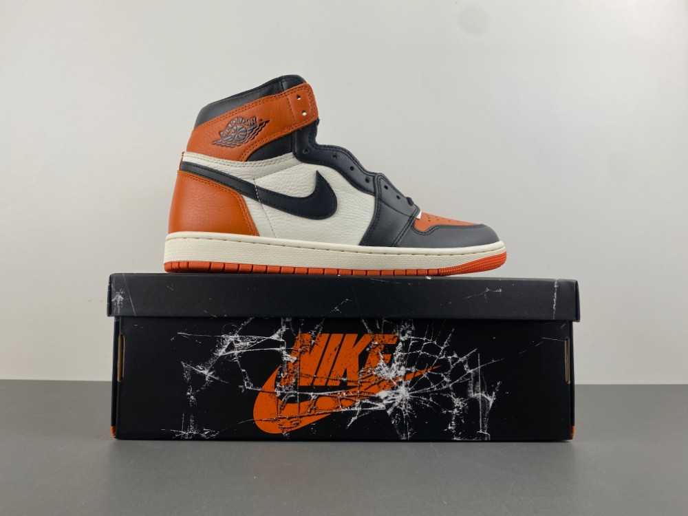 Air Jordan 1 "Shattered Backboard" DZ5485-008