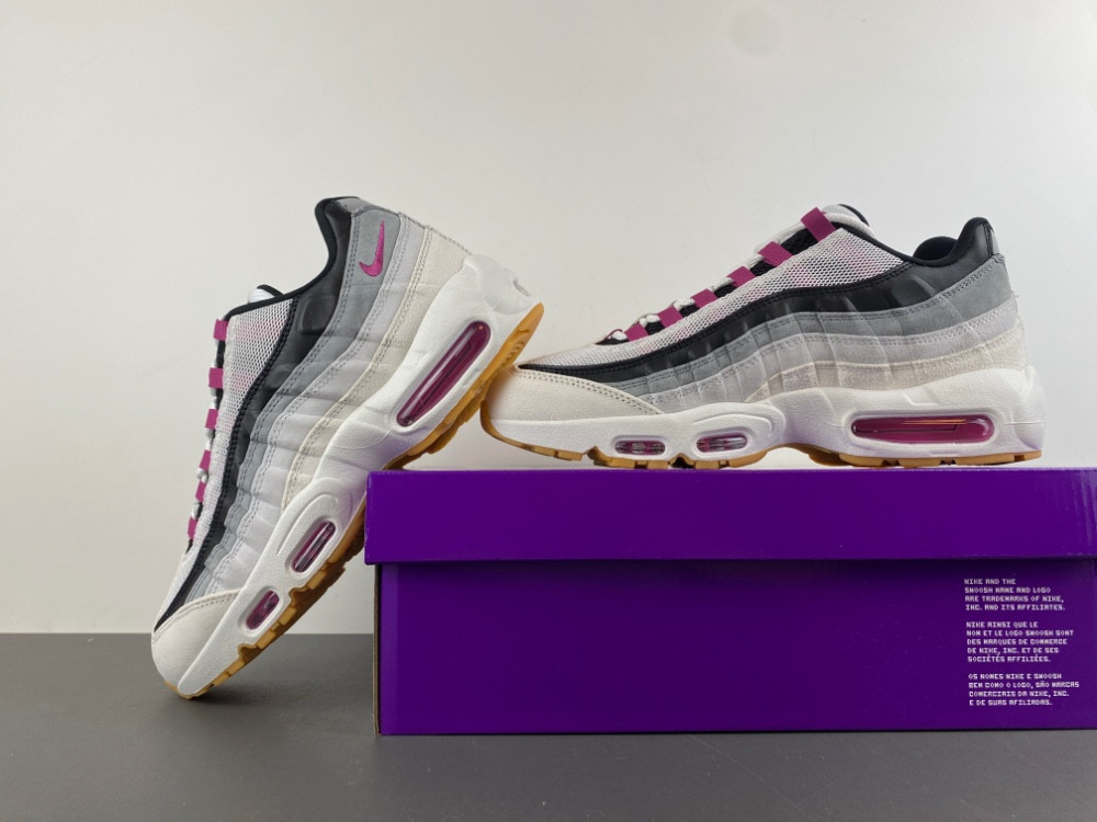 Nike Air Max 95 SB Cactus Flower Men