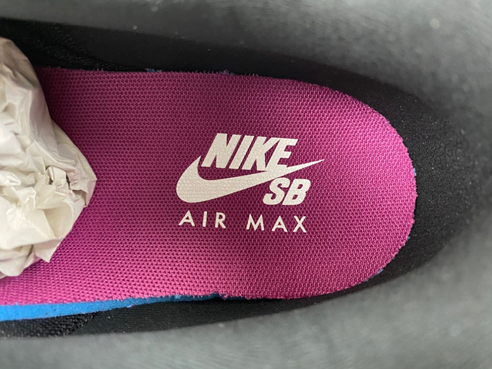 Nike Air Max 95 SB Cactus Flower Men