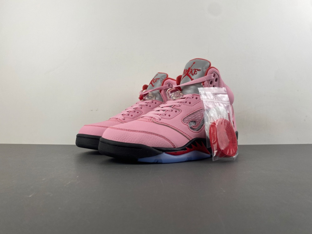 Jordan 5 Retro Awake NY Arctic Pink DV4982-600