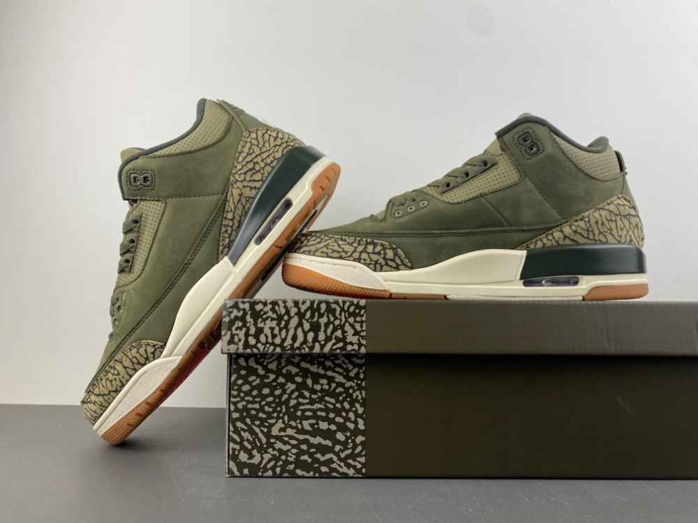 Air Jordan 3 Family Affair Medium Olive DN3707-202