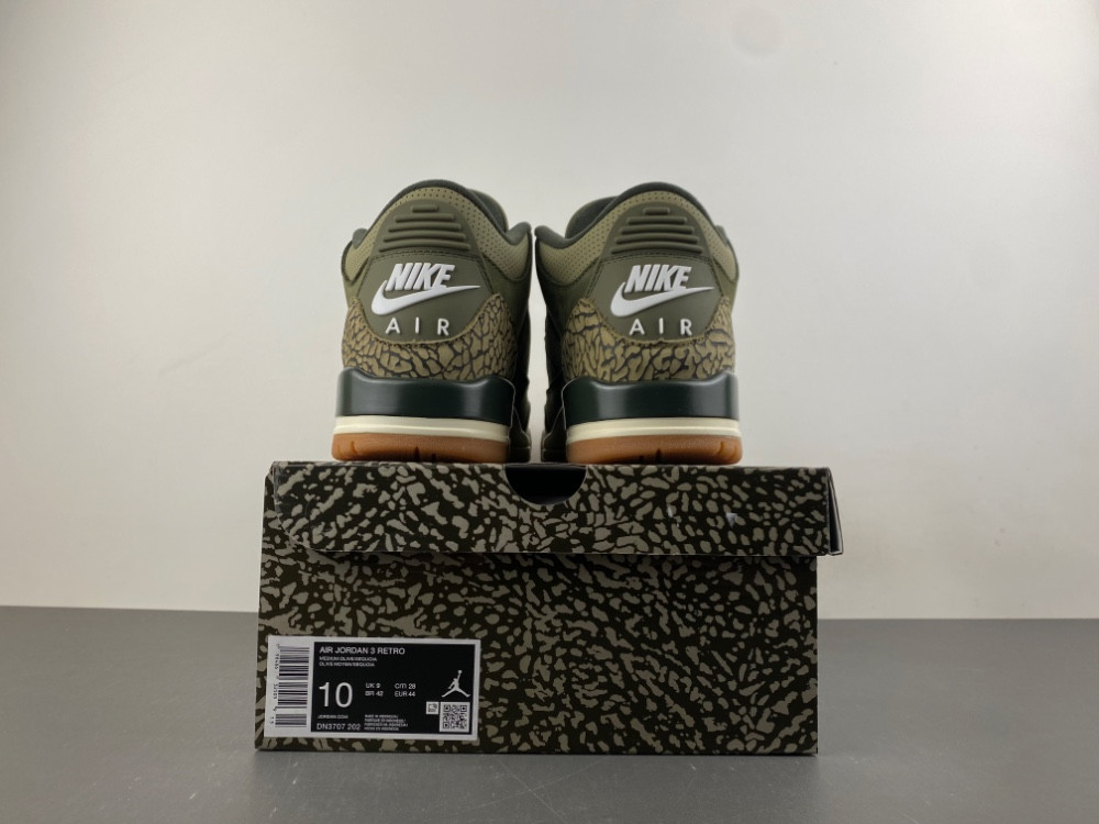 Air Jordan 3 Family Affair Medium Olive DN3707-202