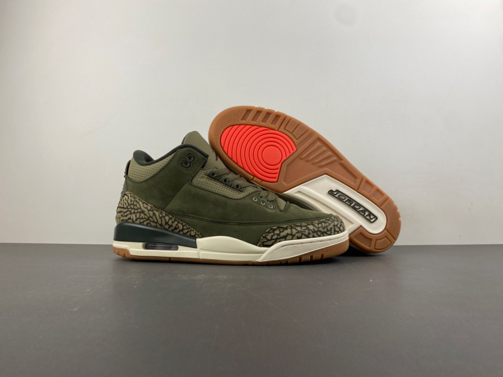 Air Jordan 3 Family Affair Medium Olive DN3707-202
