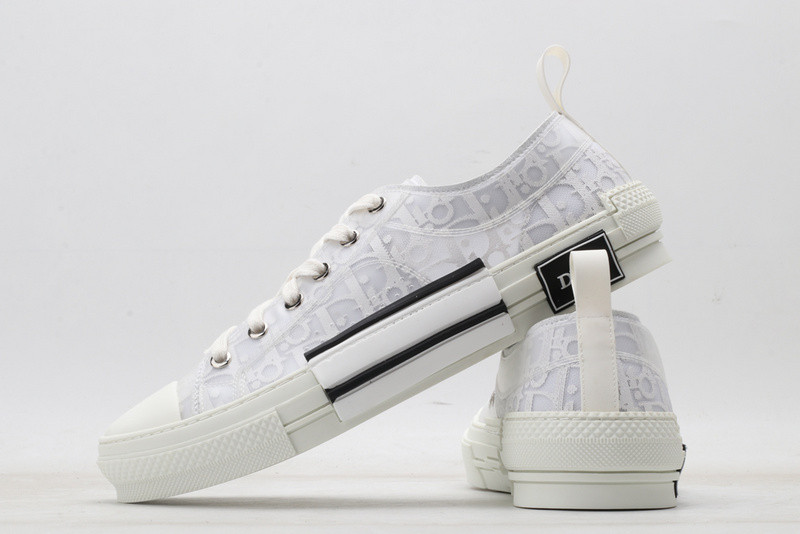 D10r b23 oblique low sneaker