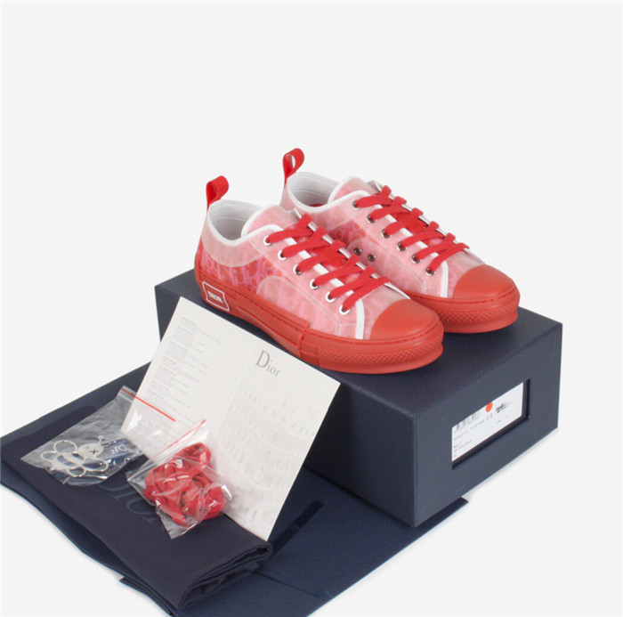 D10r b23 oblique low top sneaker