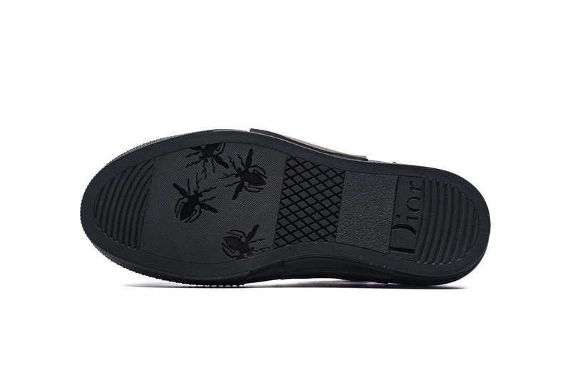 D10r b23 oblique low top sneaker t00853h063