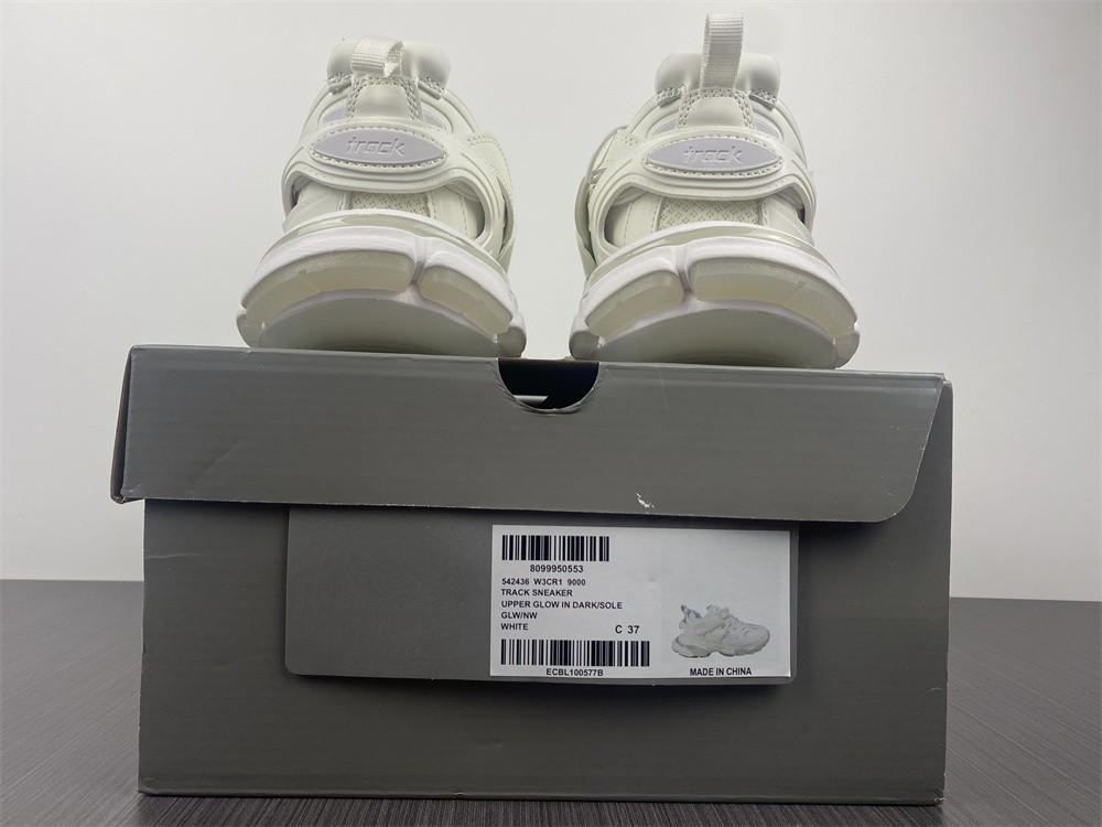 Ba1en*iaga 3.0 track trainer white