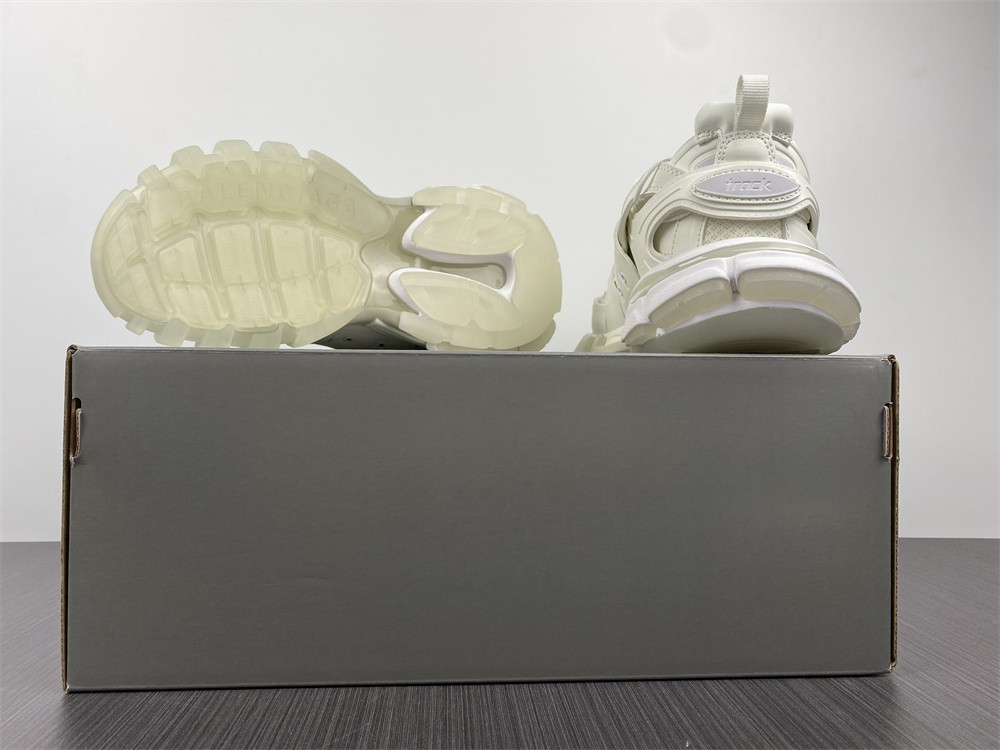 Ba1en*iaga 3.0 track trainer white