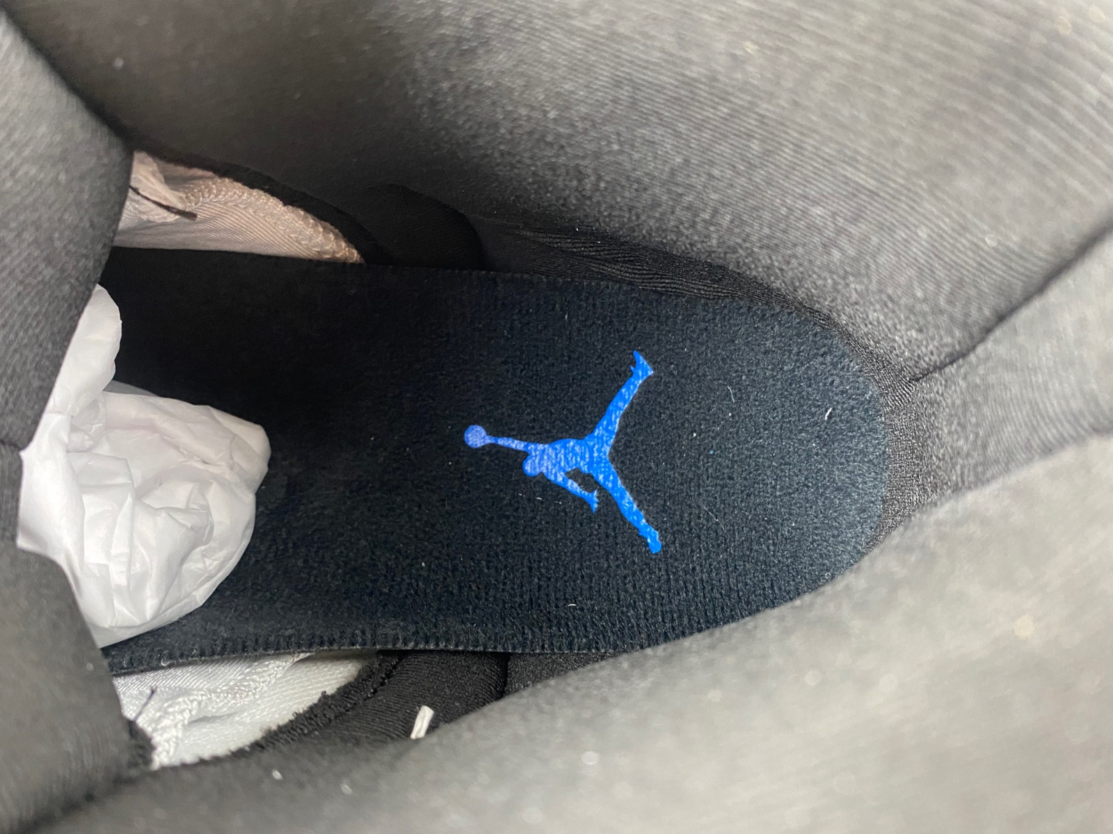 air jordan 12 "blueberry" 2024 ct8013-140