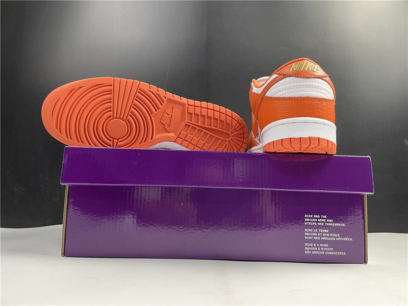 nike sb dunk low nike dh3228-181