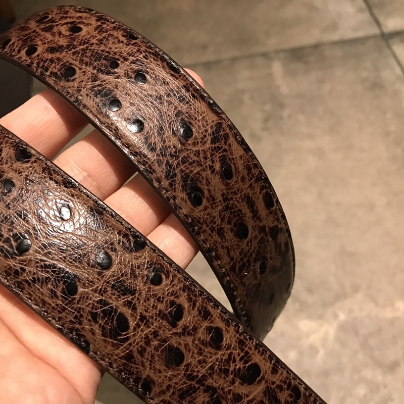 vesace belt