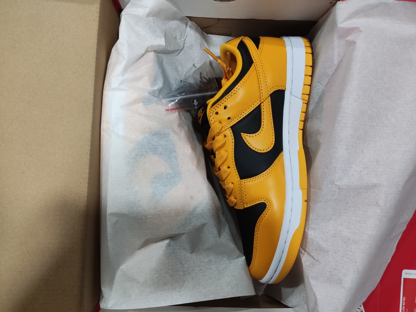 nike dunk low G01denrod (2021) - dd1391-004