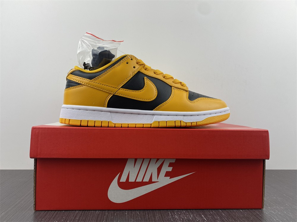nike dunk low G01denrod (2021) - dd1391-004