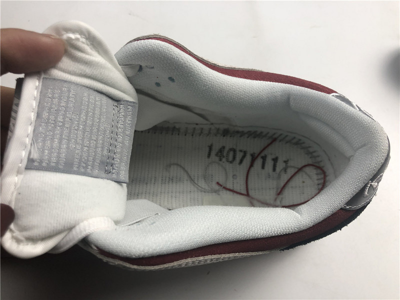 nike dunk sb low roller derby 313170-601