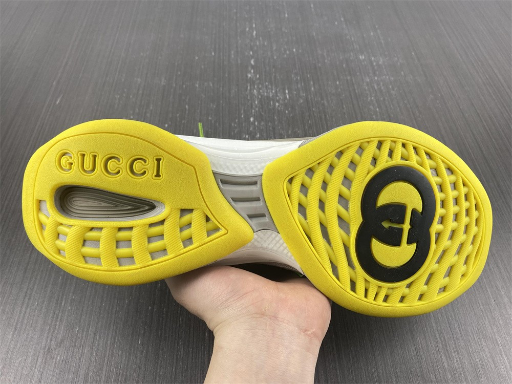 guci sneaker