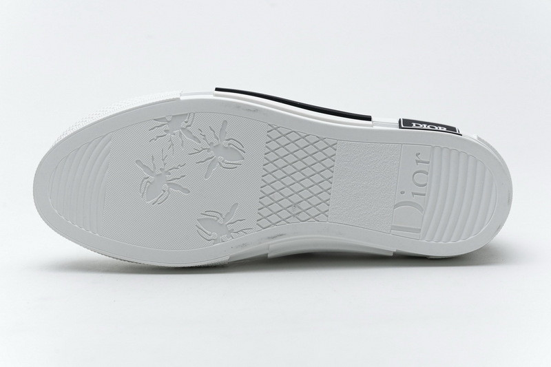 D*or b23 oblique low sneaker