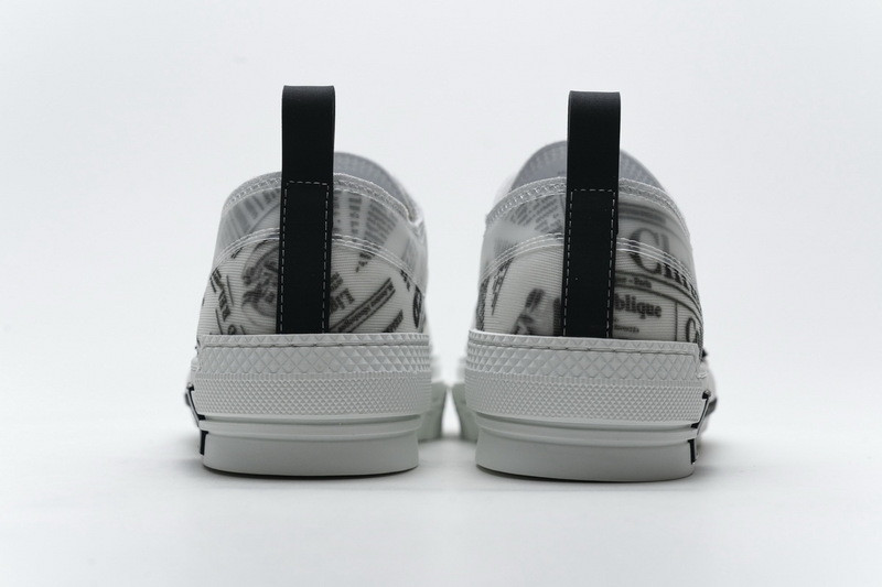 D*or b23 oblique low sneaker