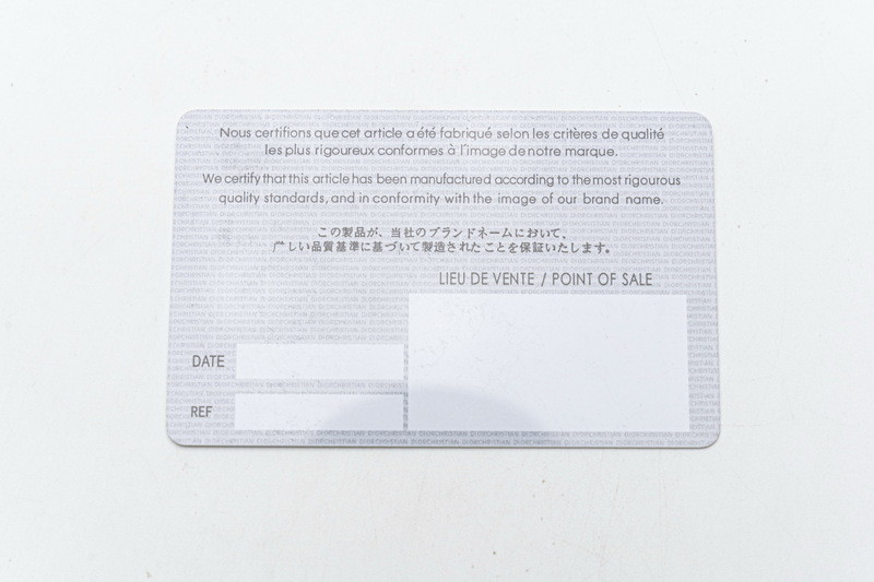 D*or b23 oblique low sneaker