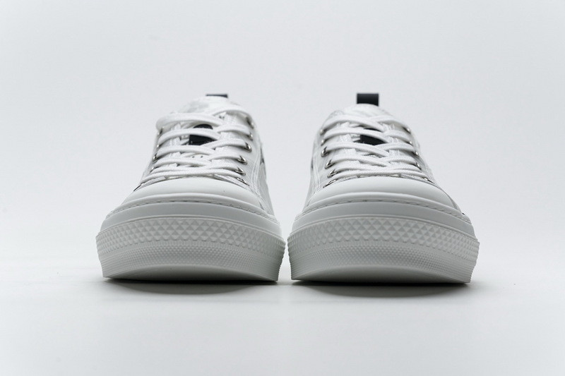 D*or b23 oblique low sneaker