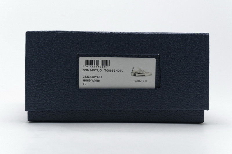 D*or b23 oblique low sneaker