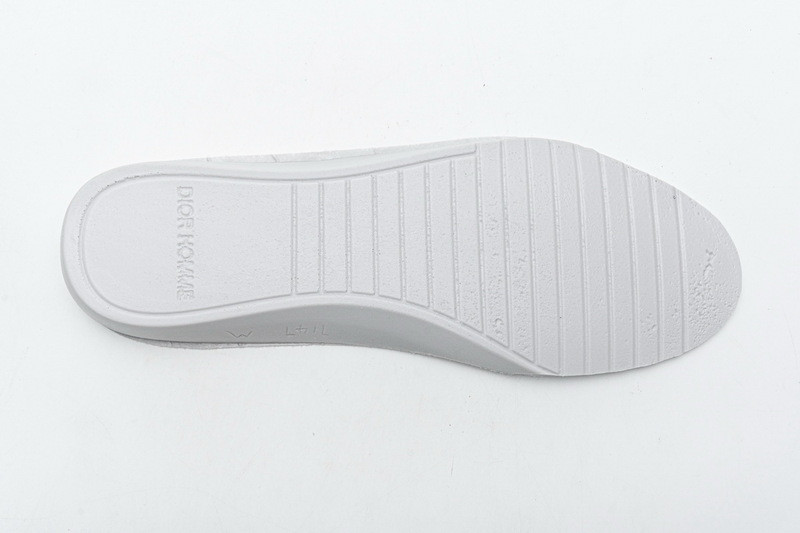 D*or b23 oblique low sneaker