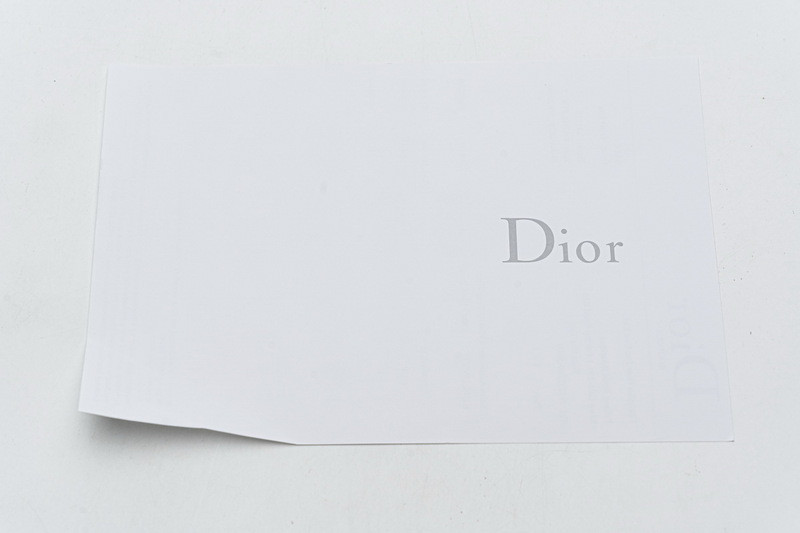 D*or b23 oblique low sneaker