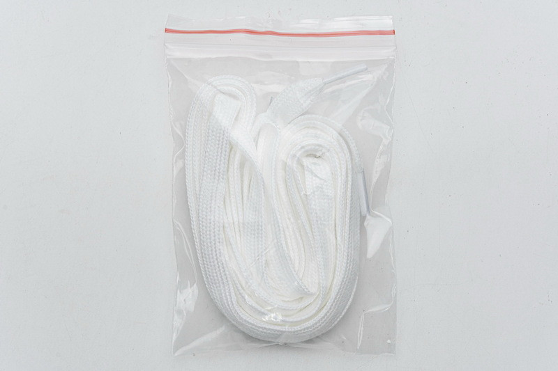 D*or b23 oblique low sneaker