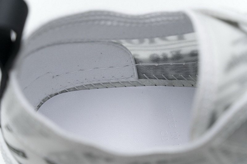 D*or b23 oblique low sneaker