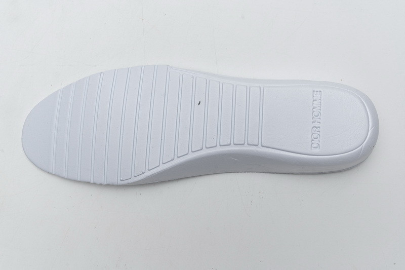 D*or b23 oblique high top sneaker