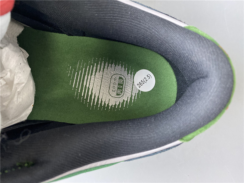 nike dunk low pro sb heineken 304292-302