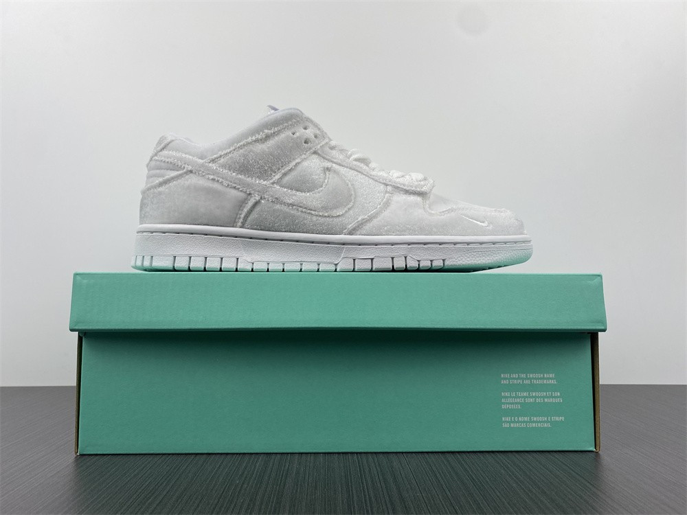 dover street market dsm nike dunk low dh2686-100