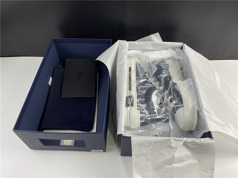 D*or b23 oblique low sneaker