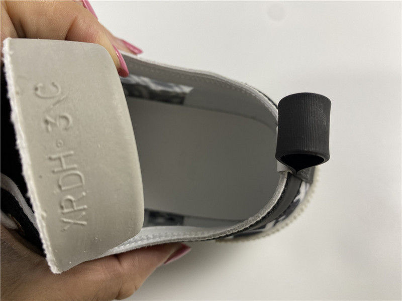 D*or b23 oblique low sneaker