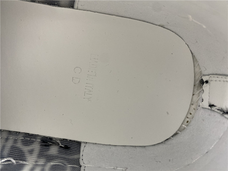 D*or b23 oblique low sneaker