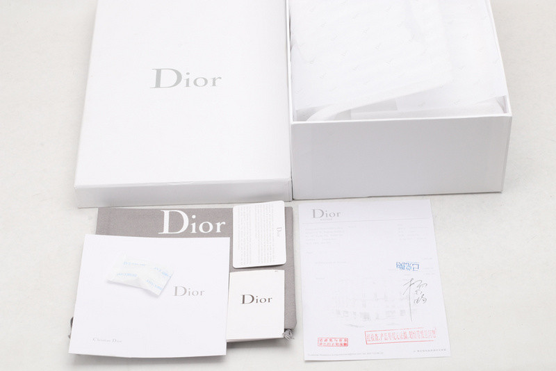 D*or b23 oblique low sneaker