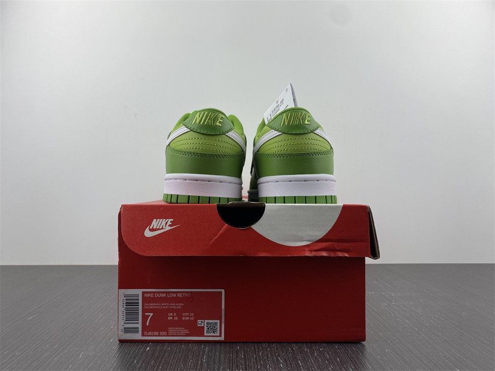 nike dunk low green white dj6188-300