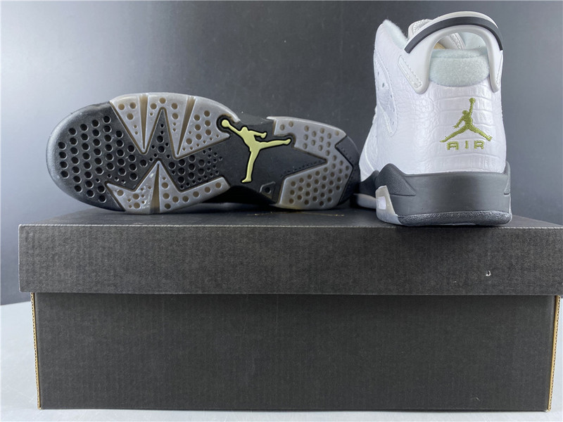 jordan 6 retro alligator (gs) - 384665-110