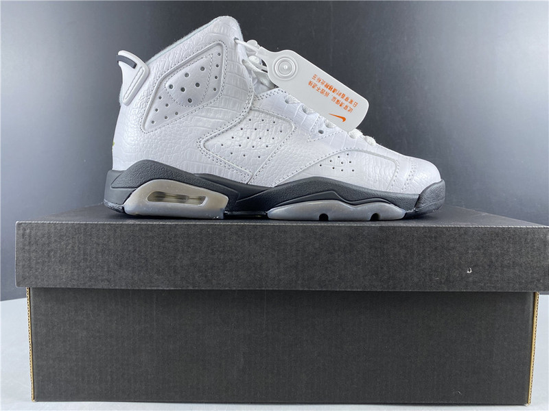 jordan 6 retro alligator (gs) - 384665-110