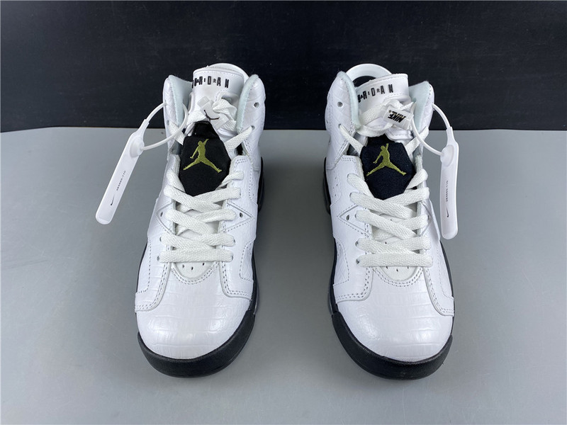 jordan 6 retro alligator (gs) - 384665-110
