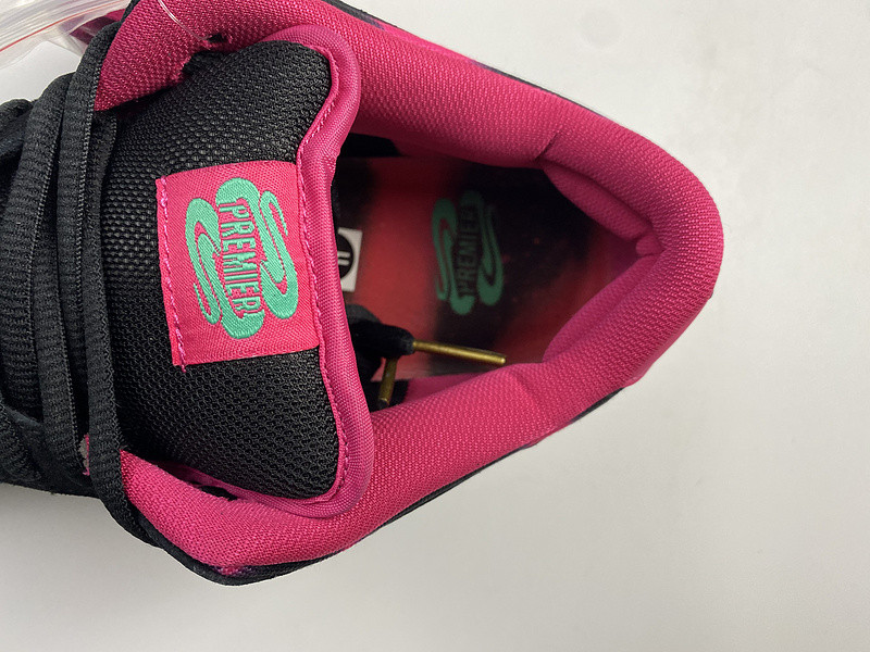 nike dunk sb low premier "Nor*hern lights" 724183-063