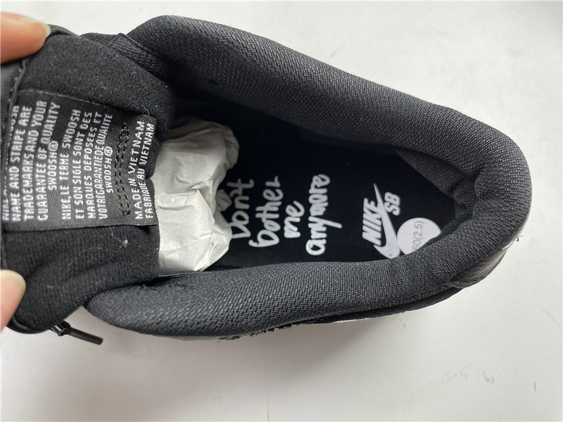 wasted youth × nike dunk sb low “black” dd8386-001